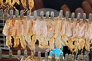 Thai street food, dried squids, orderly clipped and hanged on metal wire