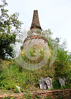 Thai Stupa be left uncultivated, Ayutthaya, Thailand December 2018