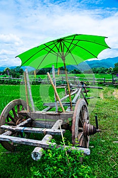Thai style cart with rice field