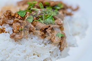 Thai style food, pork fried with crunchy garlic