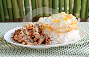 Thai style food, pork fried with crunchy garlic