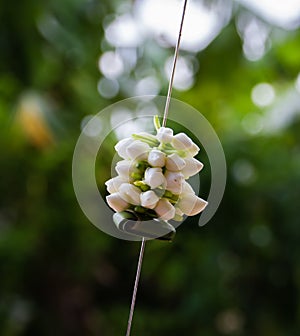 Thai style garlands are the use of needles