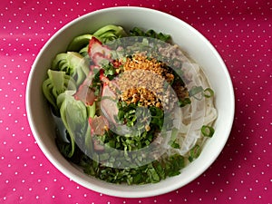 Thai Style Rice Noodles with Roasted RedPork