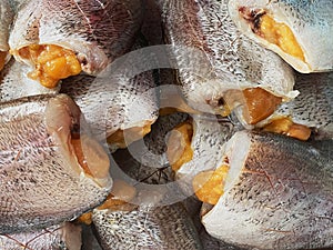 Thai sun dried salted fish. Dried snakeskin gourami in the market, commonly seen in Thailand. It is a favorite food for Thai