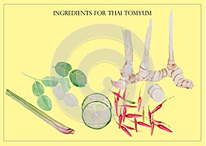 Thai tomyum set ingredient watercolor illustration vector background