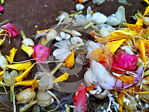 Thai traditional colorful flower for Songkran festival in thailand