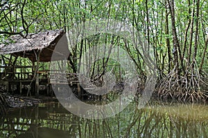 Thai traditional pavilion by the canal in mangrove forest, Trat Province