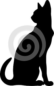 Thai Traditional Siamese Cat Black Silhouette Generative Ai
