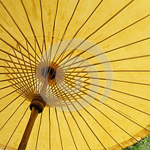 Thai umbrella