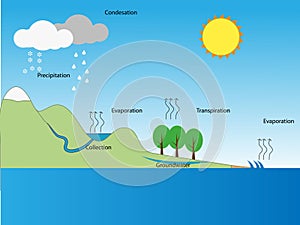 Thai water cycle