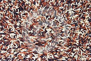 Thai White Red Jasmine and Fragment magenta rice