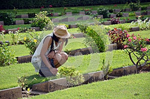 Žena čtení slovo na náhrobek válka hřbitov ()  