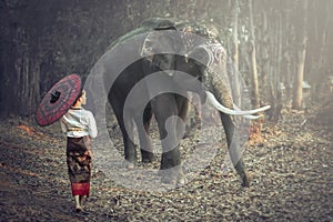 Thai women in national costumes Standing with a red umbrella, watching the Thai elephant .