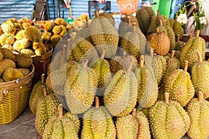 Thailan Exotic tropical fruits Durian on the street Bangkok