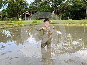 Thailand Asia boy is enjoy playing in the mud of rice field. Outdoor kid learning activity.