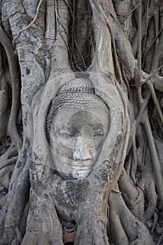 THAILAND, Ayutthaya, Buddha statue