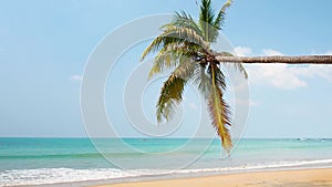 Thailand beautiful beach. Palm tree on a tropical beach. Clear blue sky white clouds in wide space. seascape landscape background