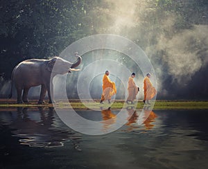 Thailand Buddhist monks walk collecting alms