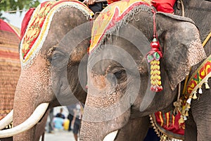 THAILAND BURIRAM SATUEK LONGBOAT RACE