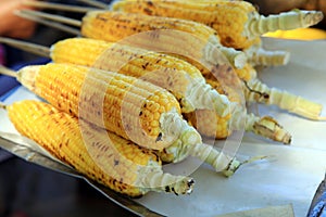 Thailand corn parch for eat