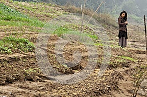 Thailand Farm Women Reggae Vegetable