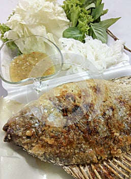 Thailand Fish Food
