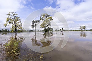 Thailand flooding causing massive damage to housing and food production after heavy tropical