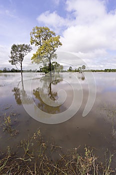 Thailand flooding causing massive damage to housing and food production after heavy tropical