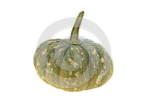 Thailand green pumpkin isolated on white background