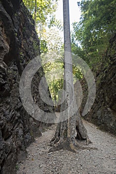 THAILAND KANCHANABURI HILLFIRE PASS DEATH RAILWAY