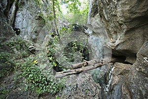 THAILAND LAMPANG WAT PRAJOMKLAO RACHANUSORN photo