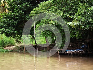 Thailand Lifestyle River ship Umbrella tree