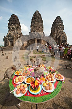 Thailand Monkey Party ( Thailand Monkey Buffet ).