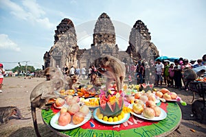 Thailand Monkey Party ( Thailand Monkey Buffet ).