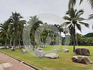 Thailand park tropical palms