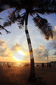 Thailand Phuket patong beach evening sunset by the coconut tree