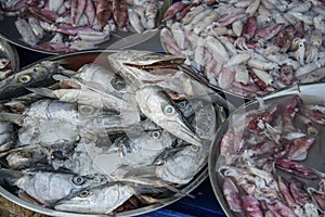 THAILAND PRACHUAP KHIRI KHAN MARKET FISH HEAD