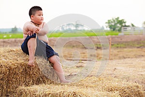 Thailand Rural Traditional Scene, Thai farmer shepherd boy sitting on dry straw stack pile in the farm. Thai Upcountry Culture photo