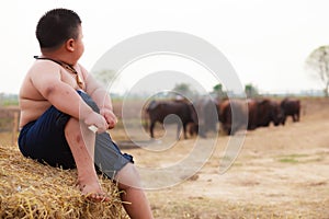 Thailand Rural Traditional Scene, Thai farmer shepherd boy sitting, tending buffaloes herd in the farm. Thai Upcountry Culture