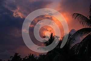 Thailand, Samui, view, nature, landscape, sunset, sky, palm tree