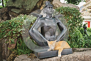 Thailand Siamese Cat Sleeping Nearby a Buddha Statue