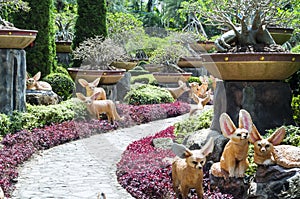 Thailand style garden