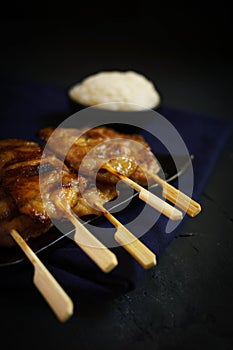 Thailand traditional cuisine, Grilled pork, Moo ping, Street food, dark food photography, sticky rice, pork stick, street food