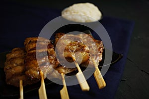 Thailand traditional cuisine, Grilled pork, Moo ping, Street food, dark food photography, sticky rice, pork stick, street food