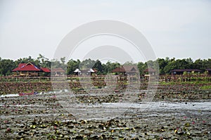 Thale Noi lake and Waterfowl Reserve Park in Phatthalung