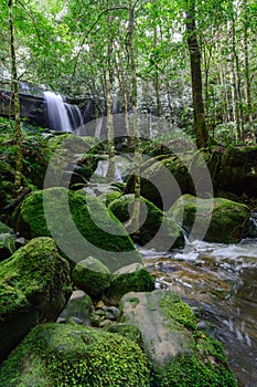 Tham yai waterfall, beautiful waterfall in a forest filled with green trees at Phu Kradung National Park in the rainy season,