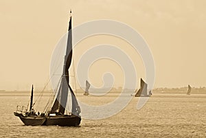 Thames Barges in Sepia