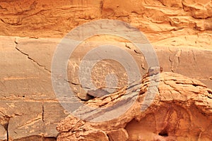 Thamudic and Nabataean petroglyphs and inscriptions on mountain in Wadi Rum desert, Jordan