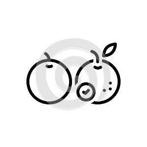 Black line icon for Than, fruit and orange photo