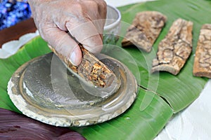 Thanaka herb bark scrubbing on kyauk pyin stone slab photo